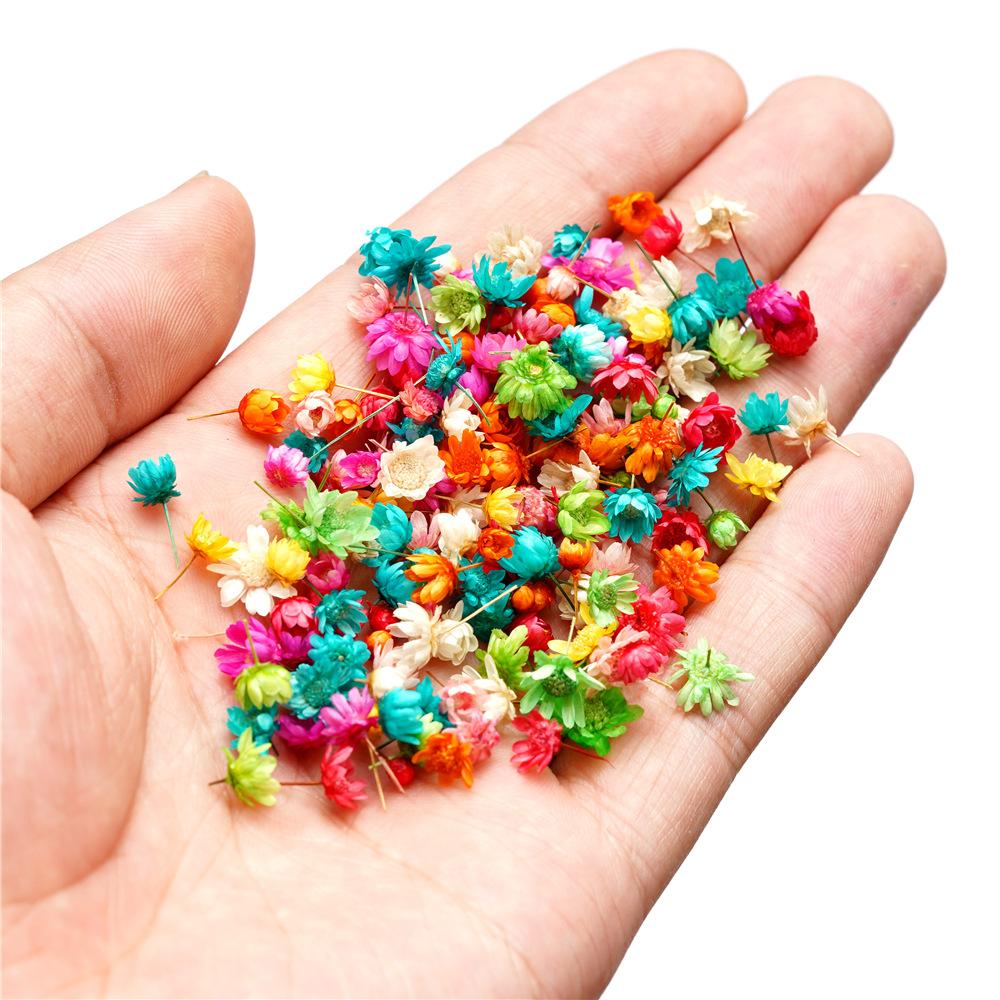 5mm~ 8mm Bags of Dried Flowers, Natural Little Star Flower Head, Handmade DIY Group Fan Crystal Epoxy Decorative Dried Flowers