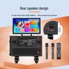 SG30 Series Portable Outdoor PA/Karaoke Speaker
