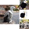 Realistic Eagle Plush Toy For Wildlife Enthusiasts 25cm/35cm/45cm