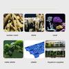 Quick Dry   Glue, Strong Adhesion, Multifunctional Aquarium Glue for Stone, Plastic,   Grass with Safe and Environmentally Friendly Specif