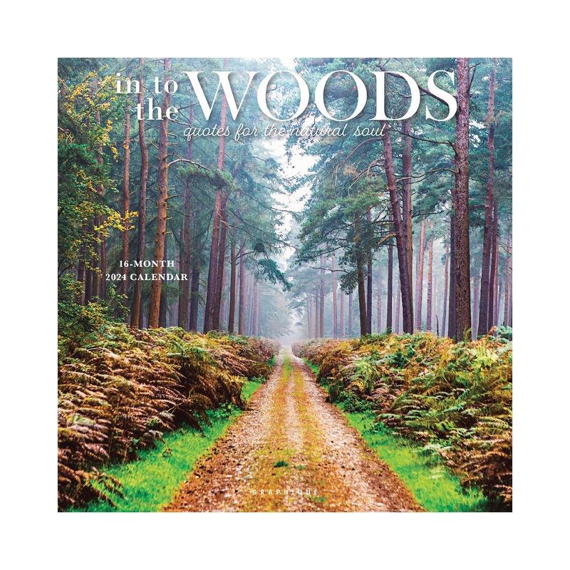 Väggkalender 2025 In i skogen Månadsvis landskapskalender Bildstilskalender för nyårsgåvor Julstrumpa Fest