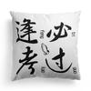 Modern Simple and Popular Short Plush Pillowcase Home Sofa Pillowcase Fun Decorative Pillowcase