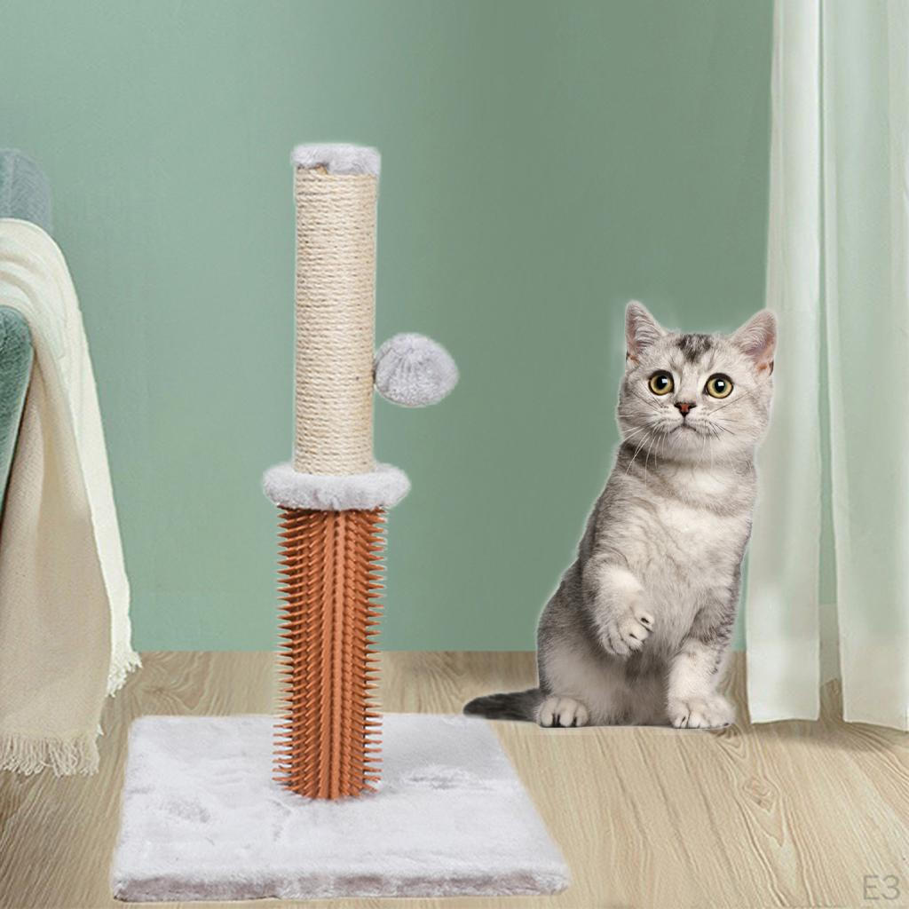Post Furniture Bed Center Kitten