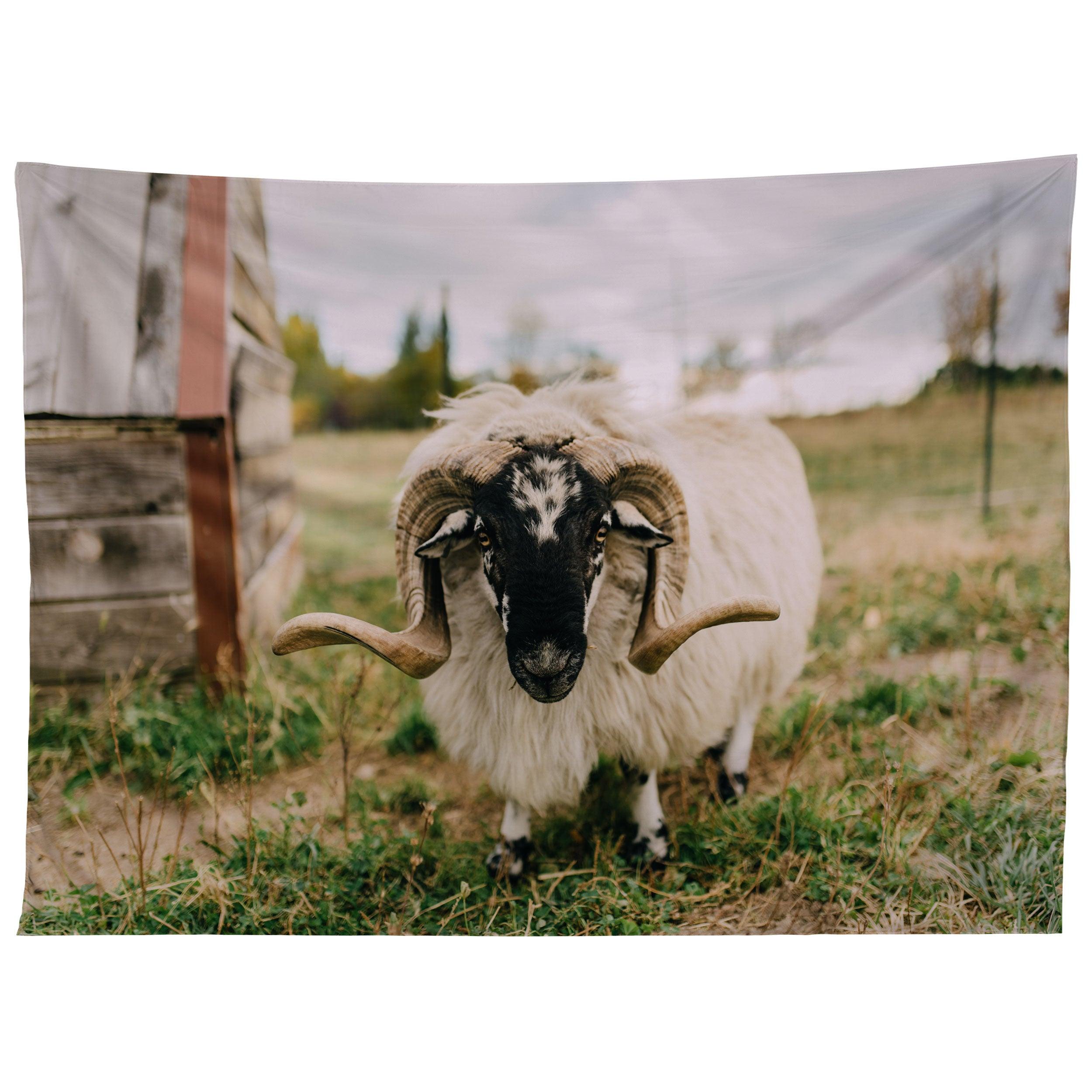 THE CURIOUS SHEEP tapestry 75x100 чёрный