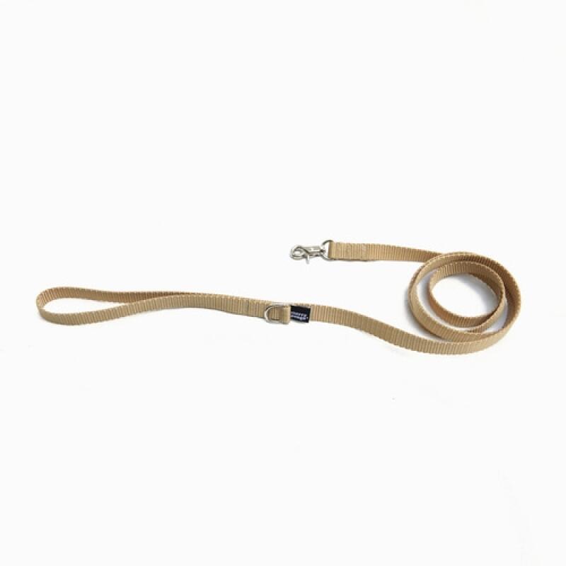 Gold Basic Leash