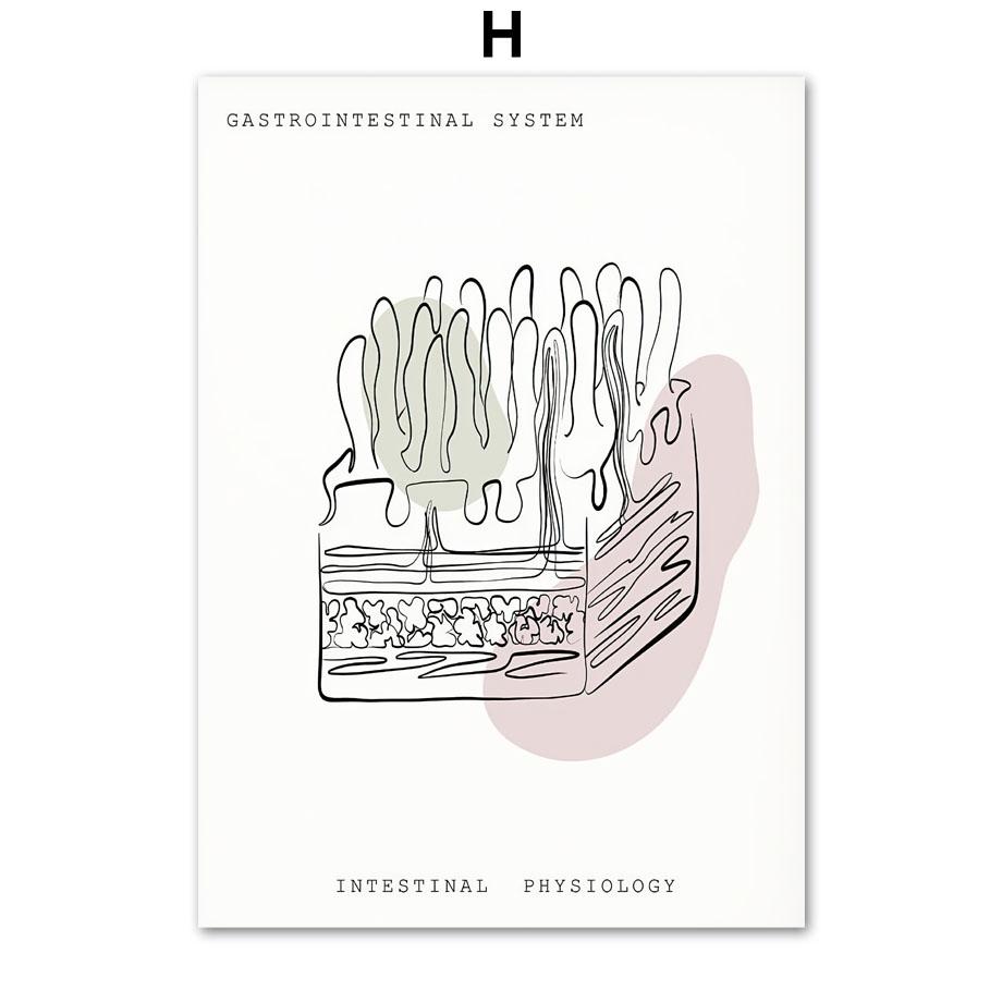 Minimalistisches buntes Anatomie-Linien-medizinisches Poster und Druck, Geist-Zahn-Organ-Wand-Kunst-Leinwand-Malerei, Ästhetik, Raumklinik-Dekor