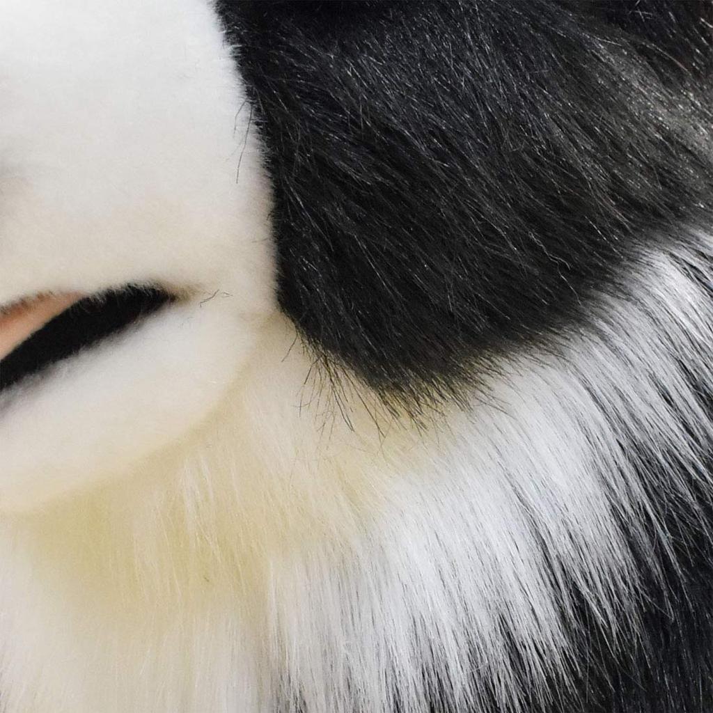 HANSA Border kolie 84.99x40.01x32 cm Akryl č.4564