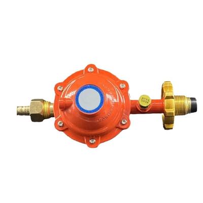 Explosions Proof Gas Regulator Metal Valves Low Pressure Valves Gas Regulator Metal Texture Suitable for Household Stove