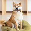 Juguete para Perros con Forma de Hueso Juguete de Madera para Masticar Perros Juguete para la Dentición de Cachorros para Masticadores Agresivos Limpieza Dental de Perros Entretenimiento