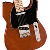 American Performer Sassafras Telecaster Maple Fingerboard Mocha Fender In Limited Fender/FSR [Made USA] [Ishibashi Sale]