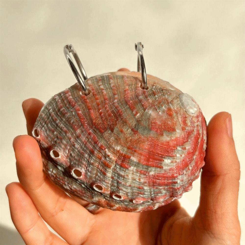 Mini Compact Natural Seashell Notebook Natural Shell Mini Notebook Sketchbook Personal Use