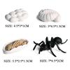 Oenux Simulation Luna Moth Salmon Butterfly Ants Life Growth Cycle Animals Model Action Figures Educational Miniature Kids Toy
