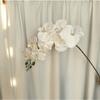 Latex Phalaenopsis, 1/3/5/10 Pack, Real Touch Artificial Mini Phalaenopsis, Good Quality