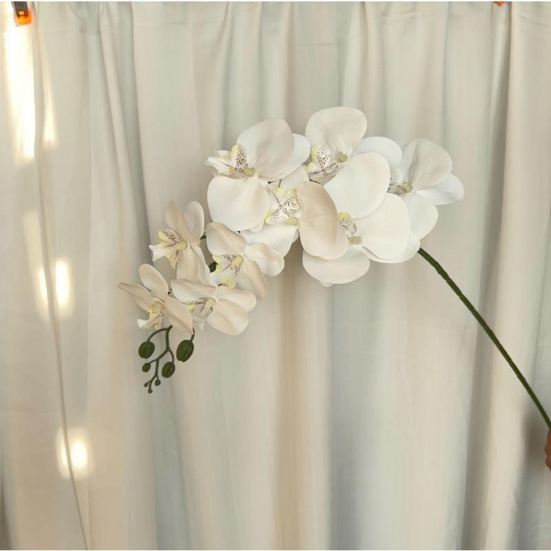 Latex Phalaenopsis, 1/3/5/10 Pack, Real Touch Artificial Mini Phalaenopsis, Good Quality
