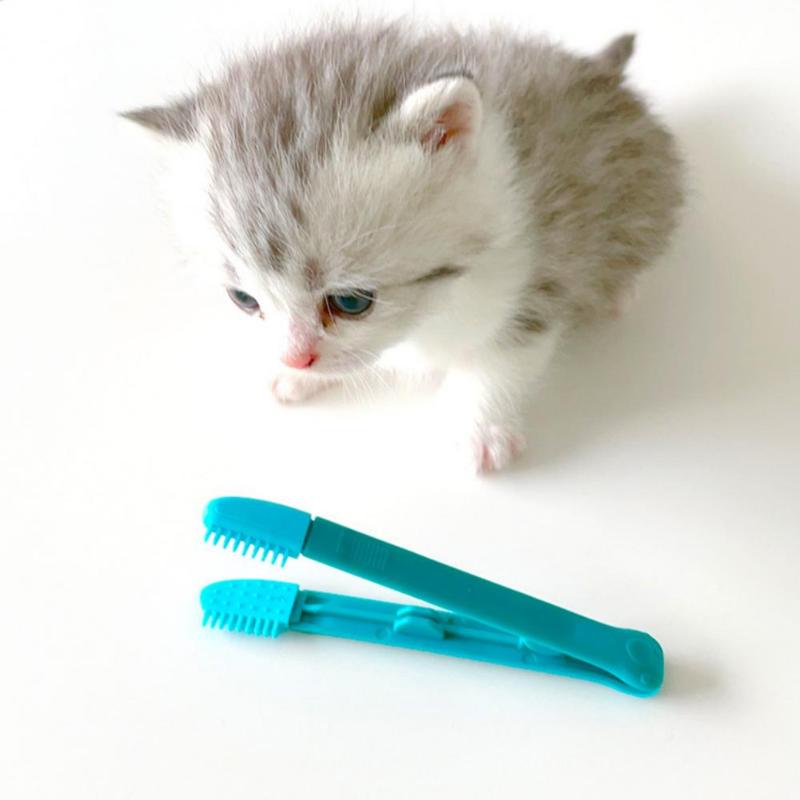 Environmentally Friendly Cat Eyebrush Handheld Eyebrush Cleaning Reusable Design Pet Comb Tear Stain Brush Pet Cleaning Supplies
