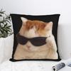 Smiling Beluga Cat Meme Pillowcase Printing Polyester Cushion Cover Decorative Funny Kitten Pillow Case Cover Home Wholesale