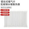 Wall-Mounted Steel Water Radiator