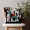 Aesthetic Art Venezuela Cushion Cover Inches Farmhouse Decor Home Throw Pillow Covers For Couch Decorations