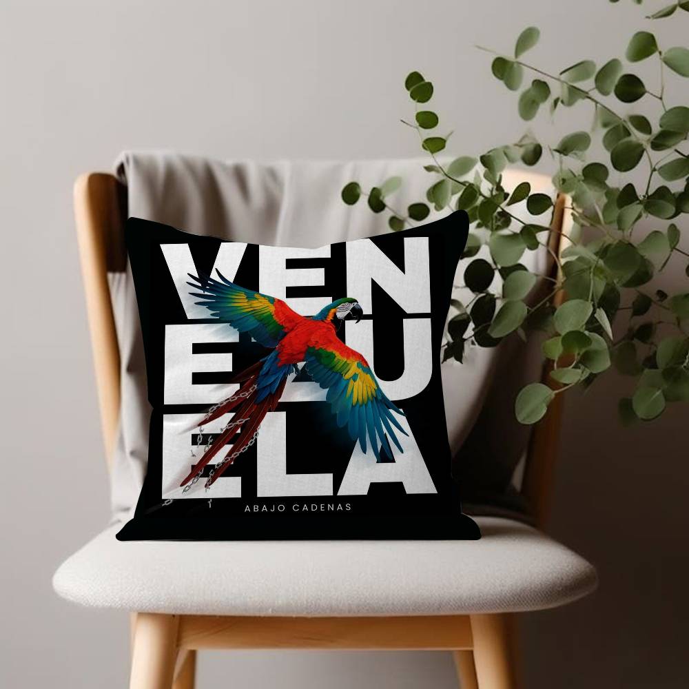 Aesthetic Art Venezuela Cushion Cover Inches Farmhouse Decor Home Throw Pillow Covers For Couch Decorations