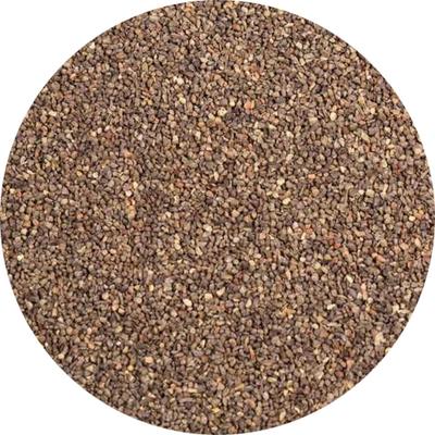 Green Stuff World Hobby Verbrannter Hobbysand, Braun, Fein, 200ml, Material, GSWD-13337 (Landschaft)