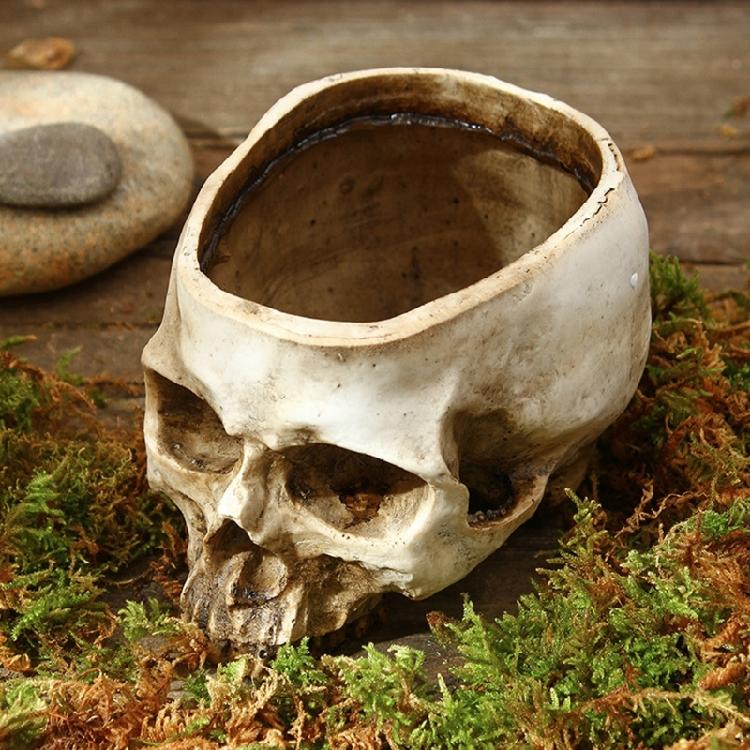 Modern Miniature Skull Resin Planter Unique Skull Shape Halloween Flower Pot for Air Plant And Small Greeneries Display