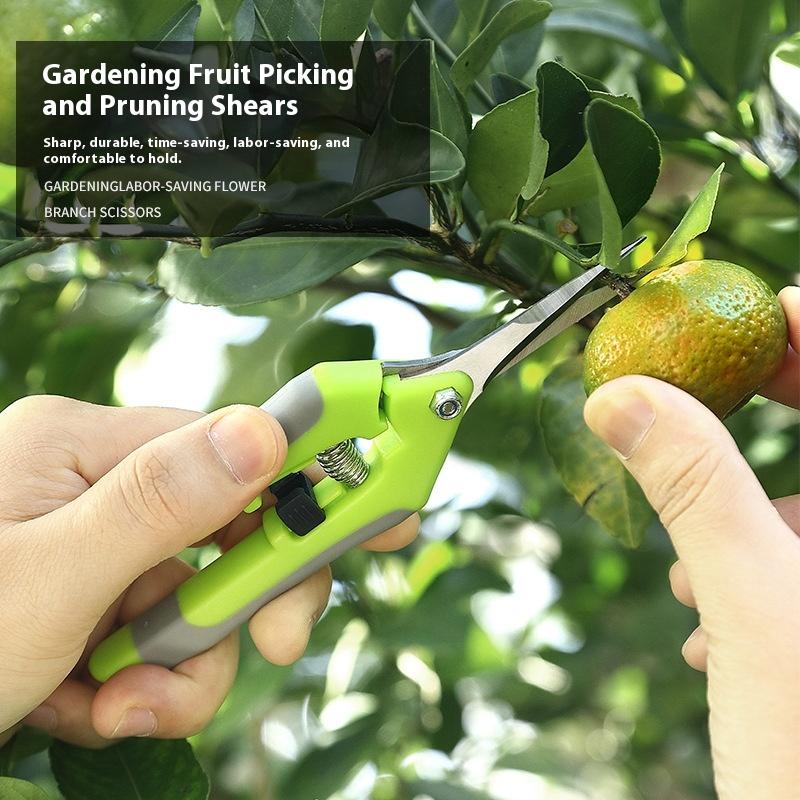Gardening Scissors Pruning Shears Fruit and Vegetable Shears Branches Fruit Tree Grape Picking Shears Garden Tools Picking Fruit