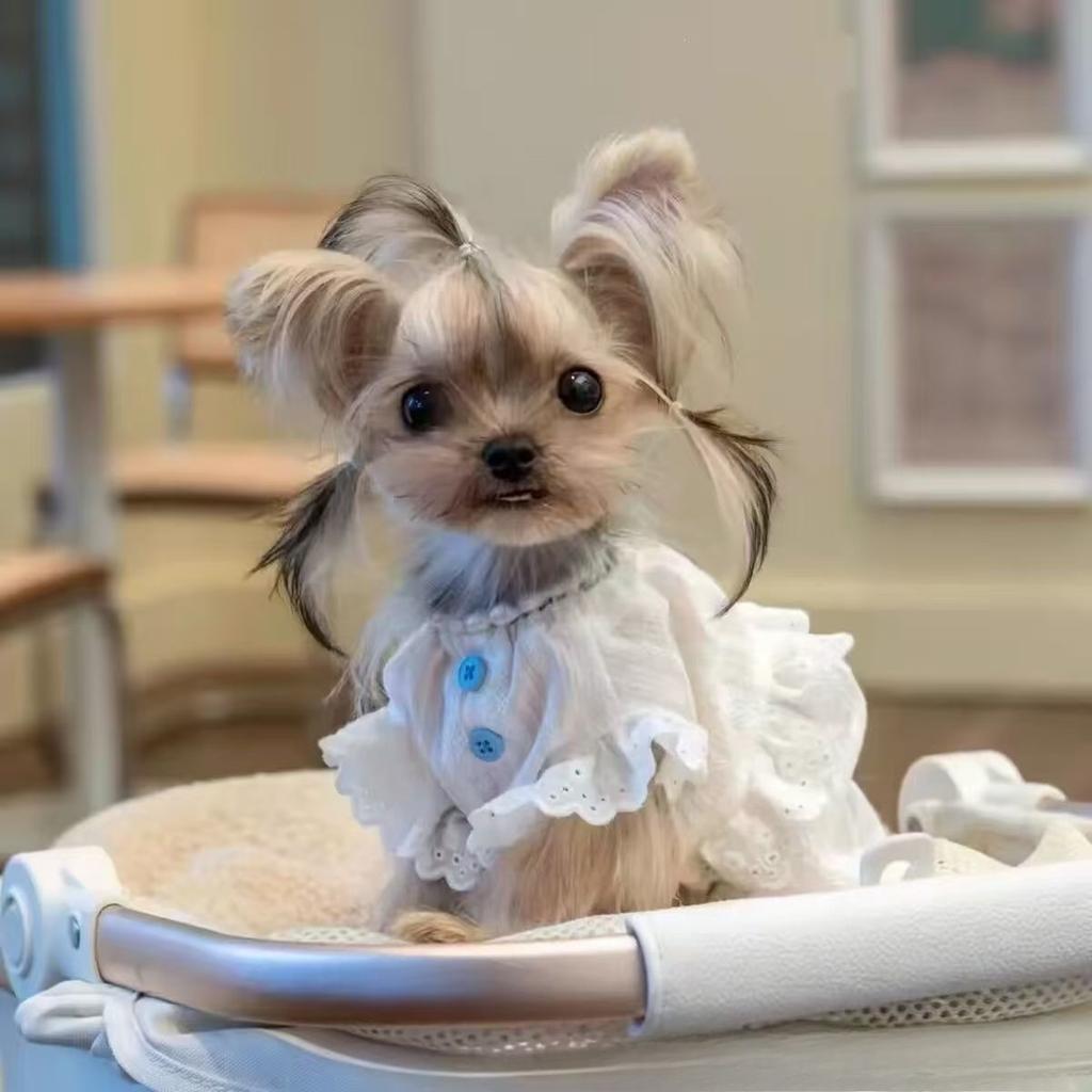 Pet Spring Striped Dress Cat Loose Breathable Flying Sleeve Shirt Small Teddy Tank Top Dog Dresses for Small Dogs