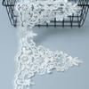 Eyelash Car Bone Lace Lace Transparent Piece Clothing Hem Decorative Lace 21Cm