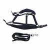 Horse Halter Set Prevent Rubbing Adjustable Horse Training Halter with 2m Horse Leash for Training Daily