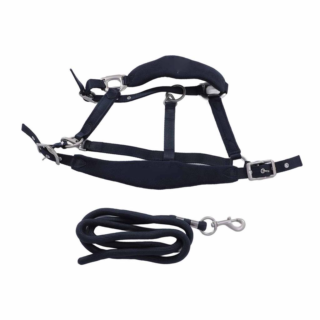 Horse Halter Set Prevent Rubbing Adjustable Horse Training Halter with 2m Horse Leash for Training Daily