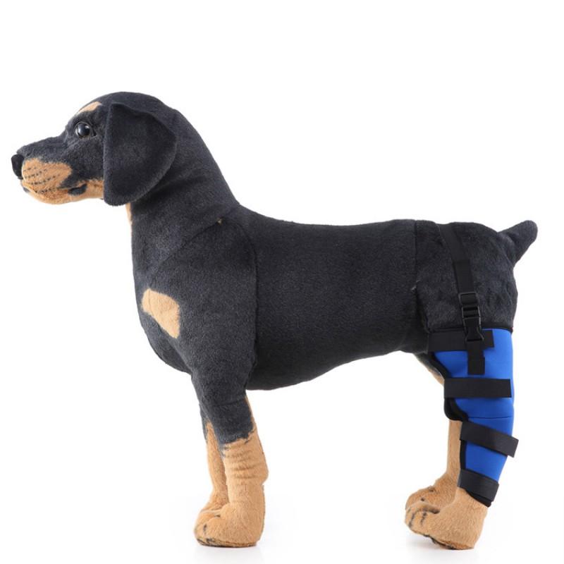 Hunde-Hinterbein-Stützbandage zur Genesung nach Operationen und zum Schutz vor Verletzungen für mittlere bis große Rassen