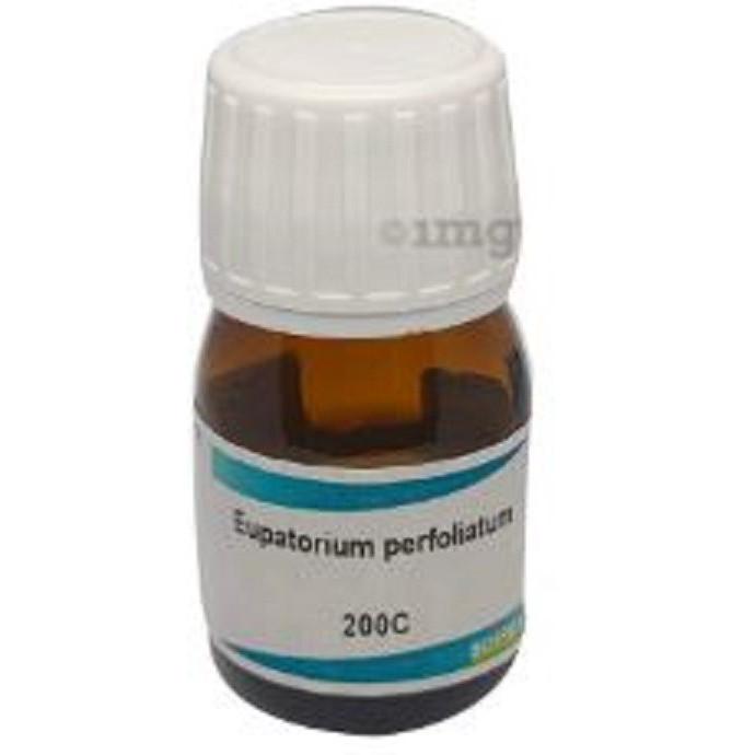 @ Boiron Eupatorium Perfoliatum 200C Homeopathic Medicine 20ml UKZQ67 50%off