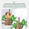 150 ml Brasilianischer Holzdünger Brasilianisches Holz Hydrokultur-Nährstofflösung Brasilianisches Holz Blüte-Nährstofflösung