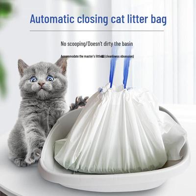 Katzen – Katzenpflege