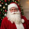 Santa Claus Beard Realistic White Fake Beard for Adults and Kids Costume Accessory Christmas Party Decoration Role Play Prop