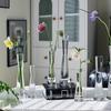 Vaso Trasparente in Vetro Stile Europeo Creativo Bocca Inclinata Artistico Semplice per Piante Idroponiche Fiori Tavolo Decorazione Casa