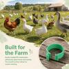 100Pcs 18mm Chicken Feet Ring Green Color Duck Feet Ring Breeding Foot Ring  Duck Farming