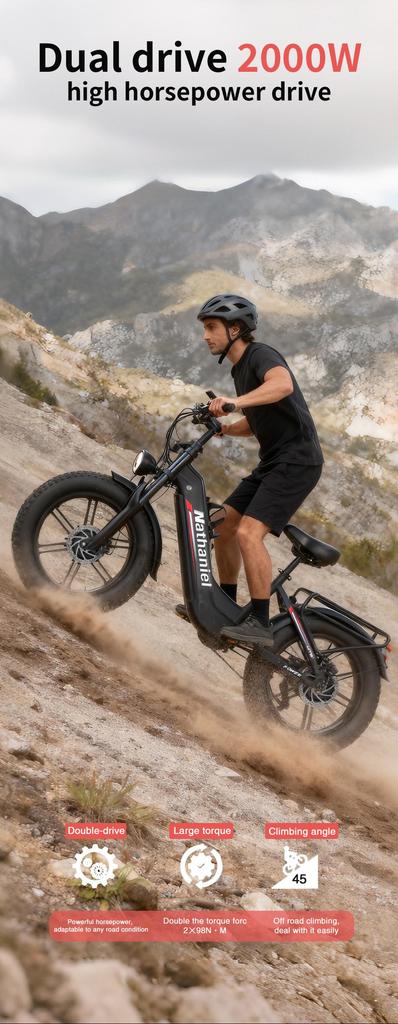 Nathaniel SYR08 Stadtelektrofahrrad, Doppelmotor 2000W, 20x4.0 integrierte Räder, 48V20AH, Schnee-/Sand-Outdoor-Fahrrad
