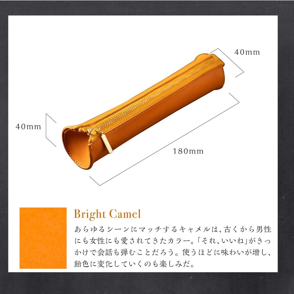 Am de Mas Round Pen Genuine Tochigi Made in Fits Fountain Camel Case, Leather, Japan, Pens, Simple, Handmade, PC-020,