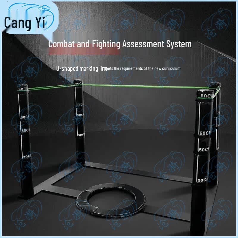 Cangyi Combat Skills Assessment System