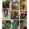 With Hat and Leg Sleeves Pet Christmas Elf Costume Polyester Cat Christmas Costume  New Year