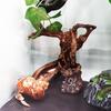 Hermit Crab Climbing Toy Resin Tree Trunk Ornament Aquarium Decoration For Reptile Lizard Newt Hermit Crab