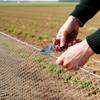 Strong Welded Hexagonal Metal Wire Fence Wire Netting For Animal Pen Poultry Coops Livestock Protections Fencing