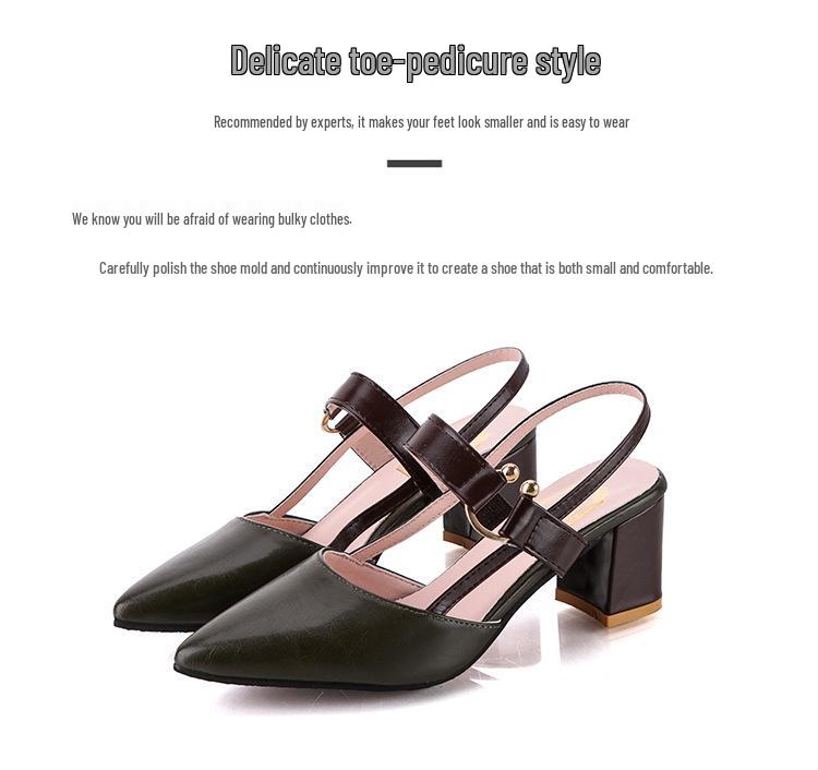 2024 Chunky Heel Hollow Sandals for Women, Slimming Pointed Toe Single Strap Buckle
