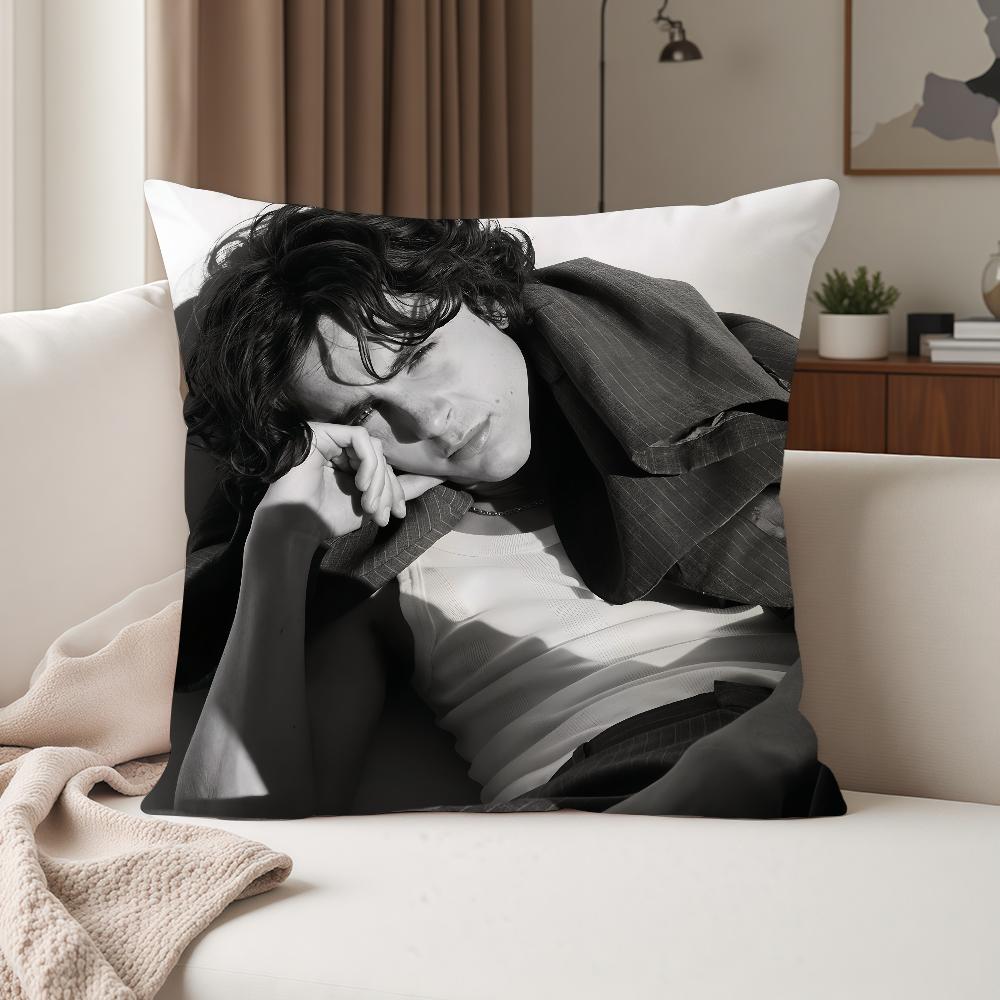 Schauspieler Timothee Chalamet Kissenbezug Geeignet für Schlafzimmer Wohnzimmer Autos Heimdekoration