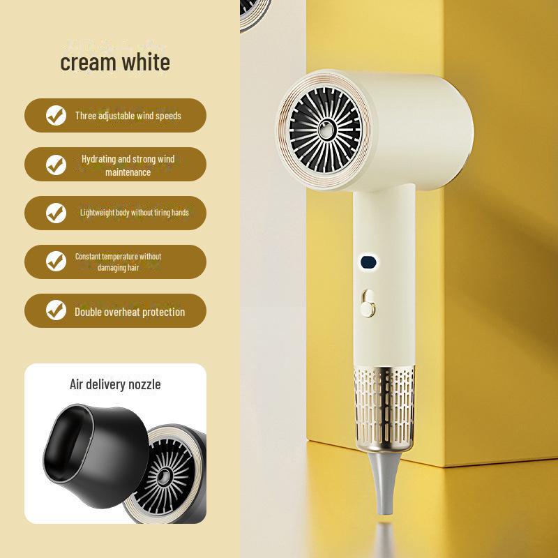 High-Power Ionic Hair Dryer with Temperature Control and Fast-Drying High Wind Speed