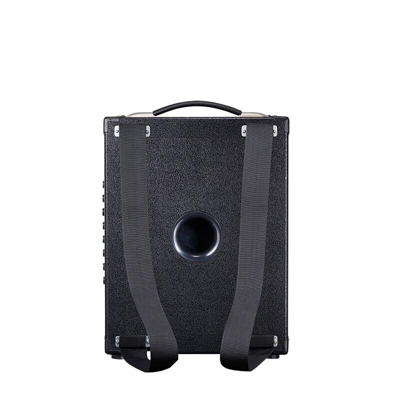 Portable PA Speaker with Wireless Microphone