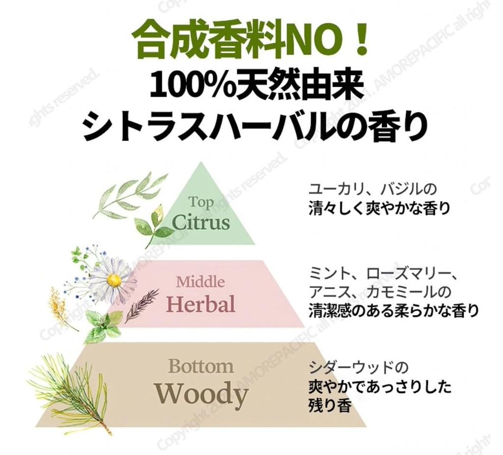 Scalp Strengthening Derma Shampoo 400ml LABO-H