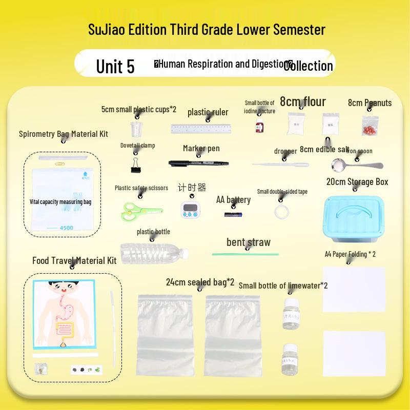 Third Grade Science Experiment Set: Human Respiration & Digestion Teaching Aids