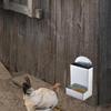 Chicken Feeder Mineral Crushed Food Container Promotes Healthy Digestion And Eggs Formation Easy Installation Feeders